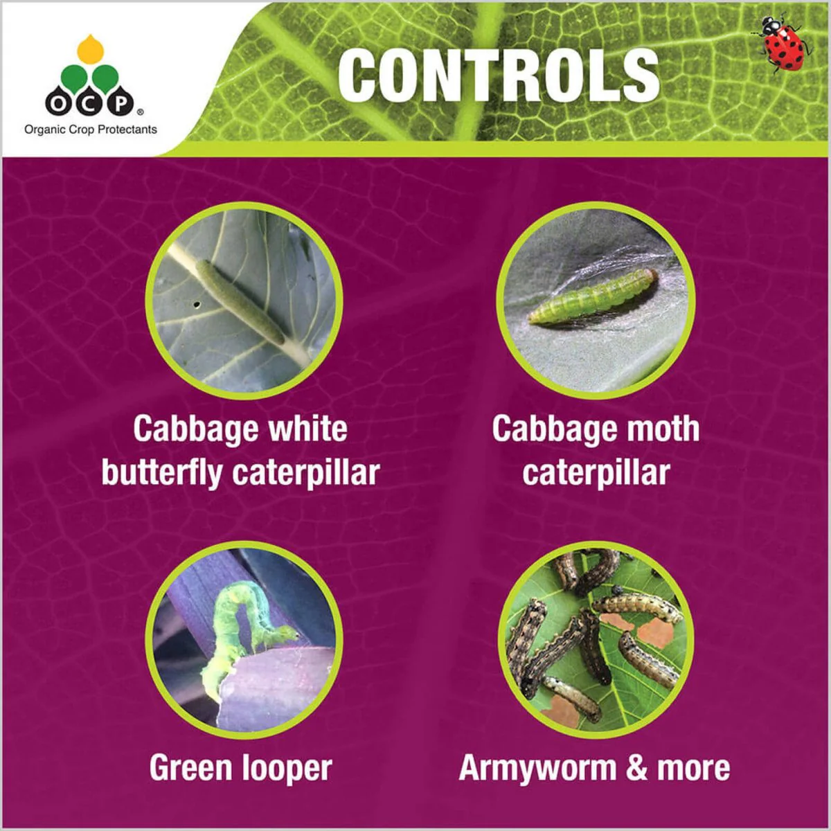 Ocp Eco Caterpillar Killer - 40g Powder - Organic Insecticide for Gardens - Image 4