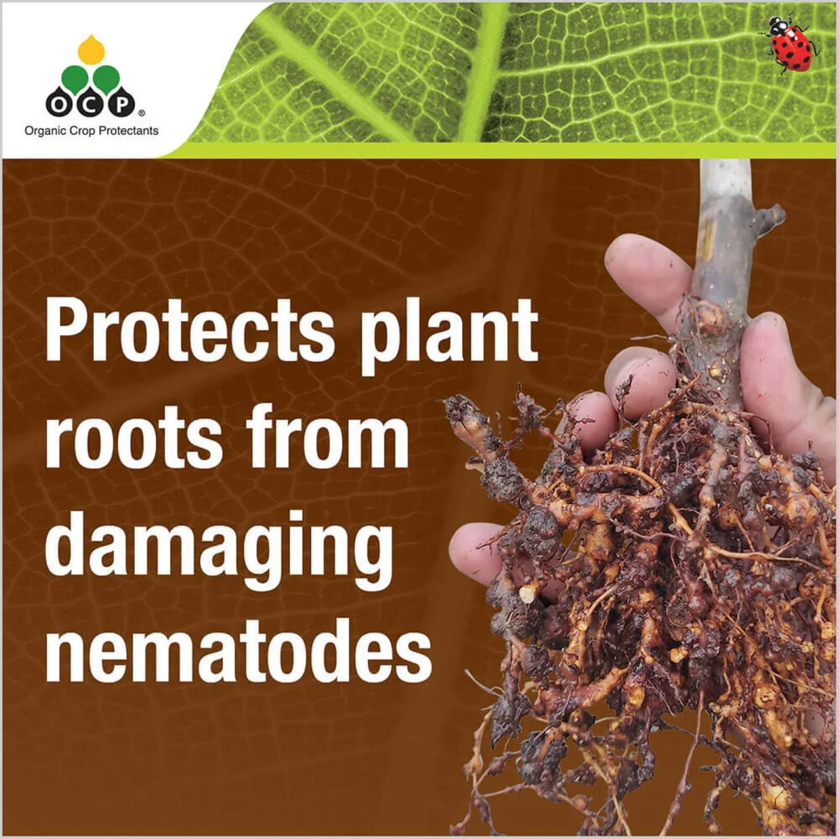 Ocp Eco Nemguard Organic Nematicide 350g - Granular Nematode Treatment - Image 2