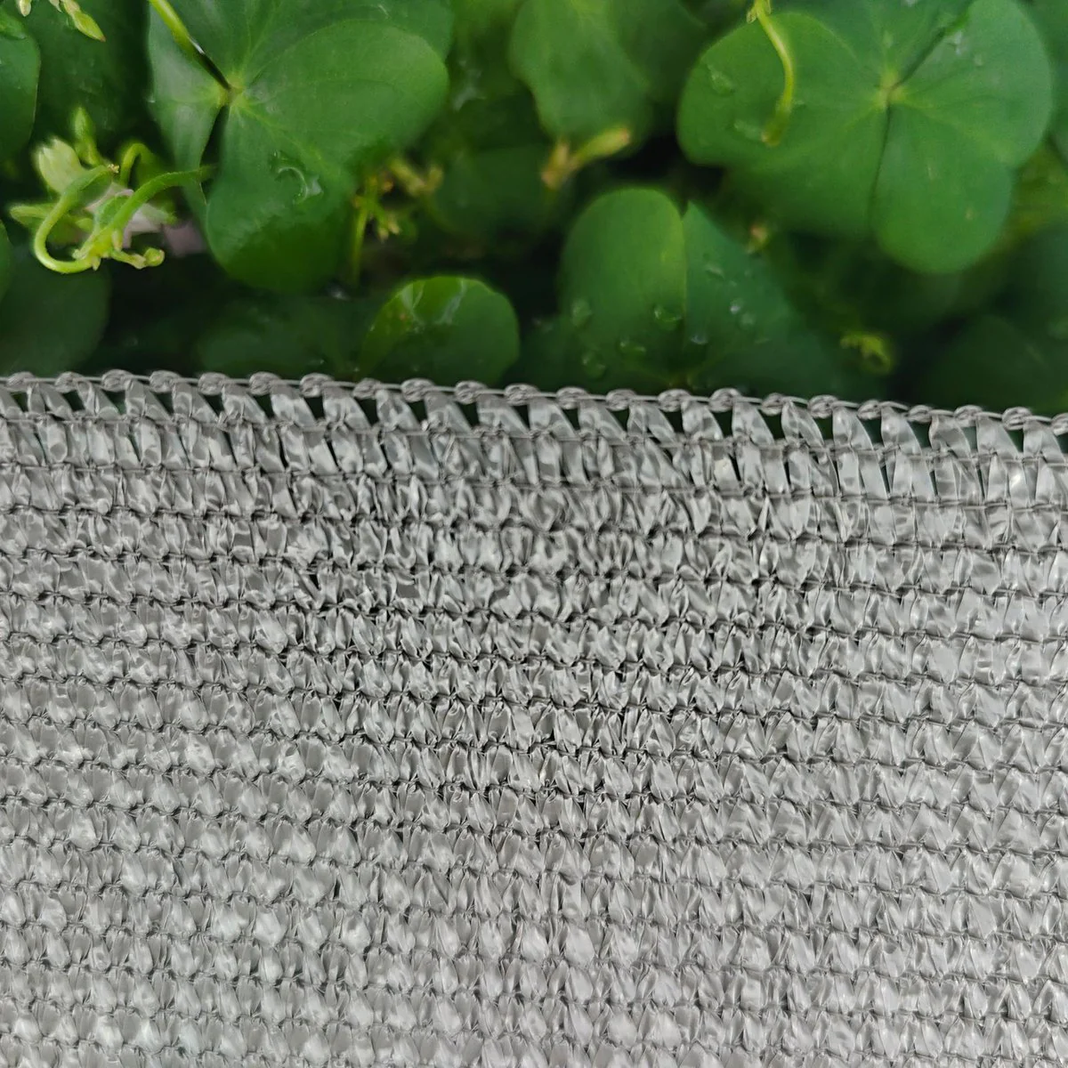 Pillar 1 Shade Cloth - 83 x 5m - Woodland Grey - HDPE - 70% UV Protection - Image 3