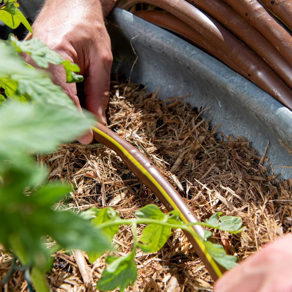 Pope Drip Eze Drip Irrigation Tube 13mm x 15m - Brown - Efficient Water Delivery - Image 4