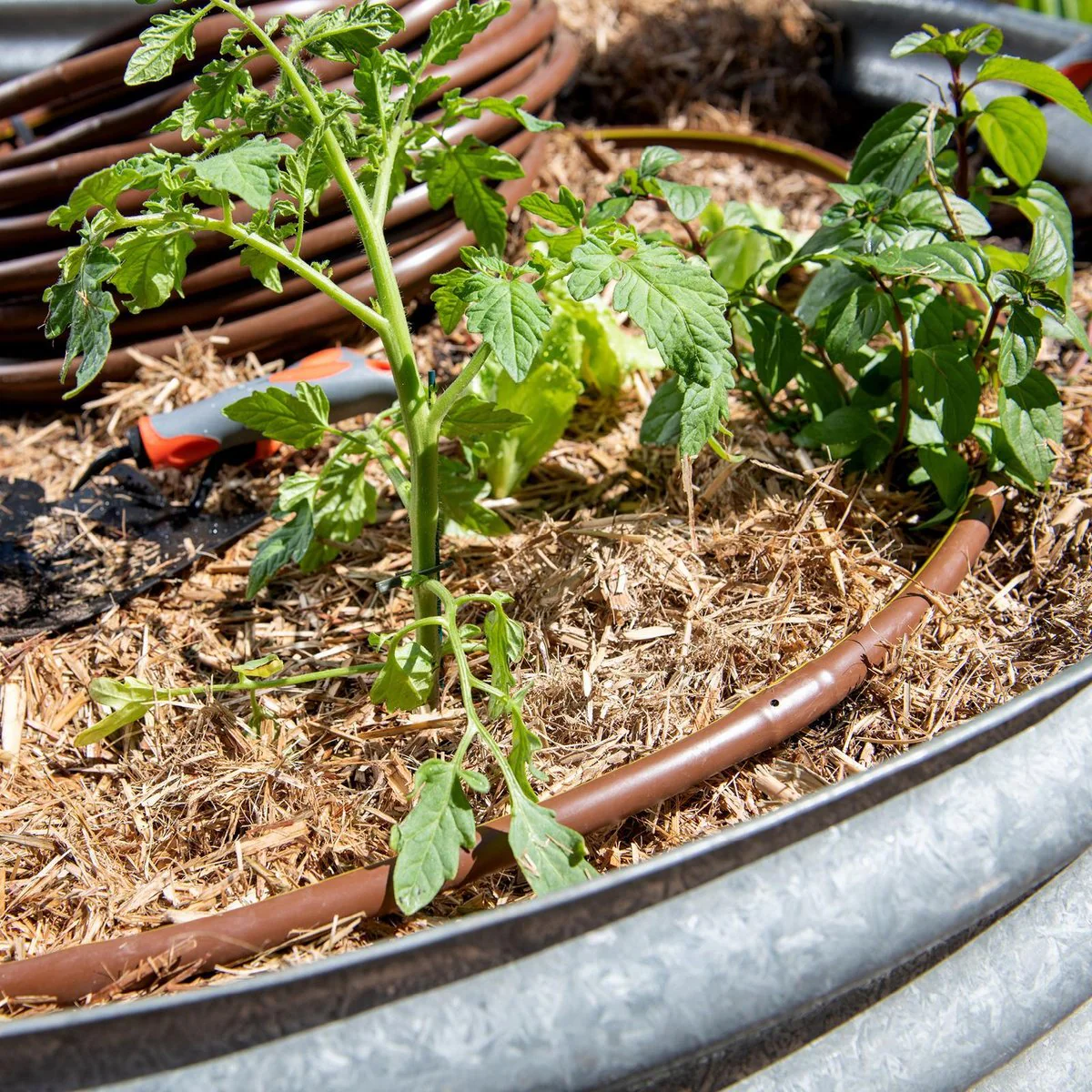 Pope Drip Eze Drip Irrigation Tube 13mm x 50m - Brown - Efficient Water Delivery - Image 5