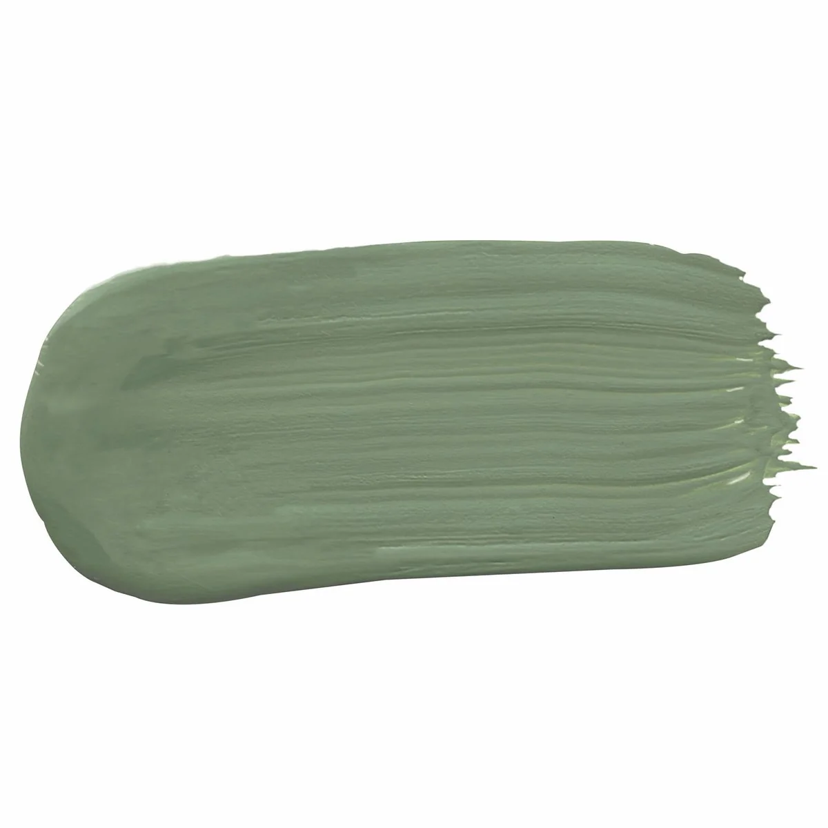 Porter S Washable Paint 2L Bayleaf Eggshell Finish 162mm x 156mm x 141mm - Image 2