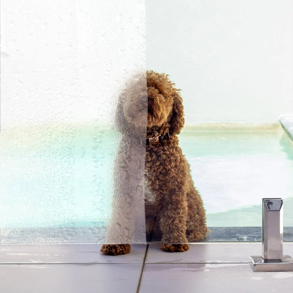 Protectoral Enduroshield Glass Polish - 0.5kg - 90mm x 65mm x 200mm - Restores Clarity - Image 2