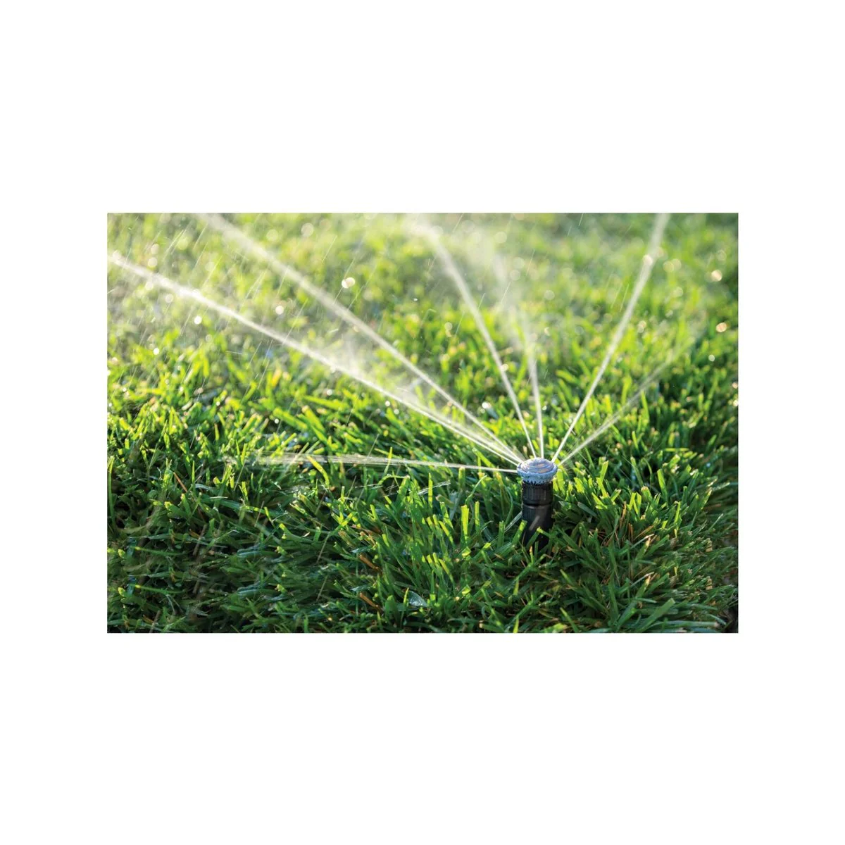 Rain Bird High Efficiency Rotary Nozzle - 14 Ft Adjustable Pattern - Water Saving - Image 2