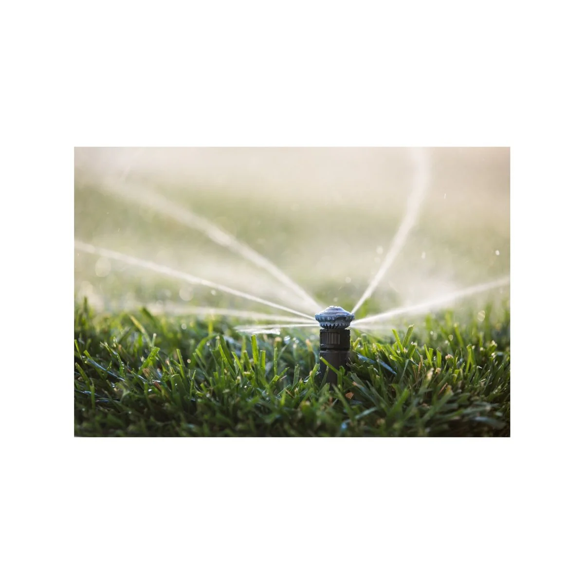 Rain Bird High Efficiency Rotary Nozzle - 14 Ft Adjustable Pattern - Water Saving - Image 3
