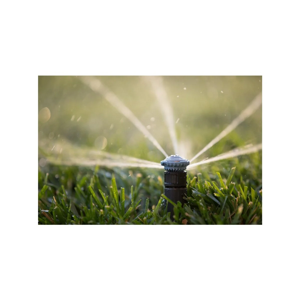 Rain Bird High Efficiency Rotary Nozzle - 14 Ft Adjustable Pattern - Water Saving - Image 4