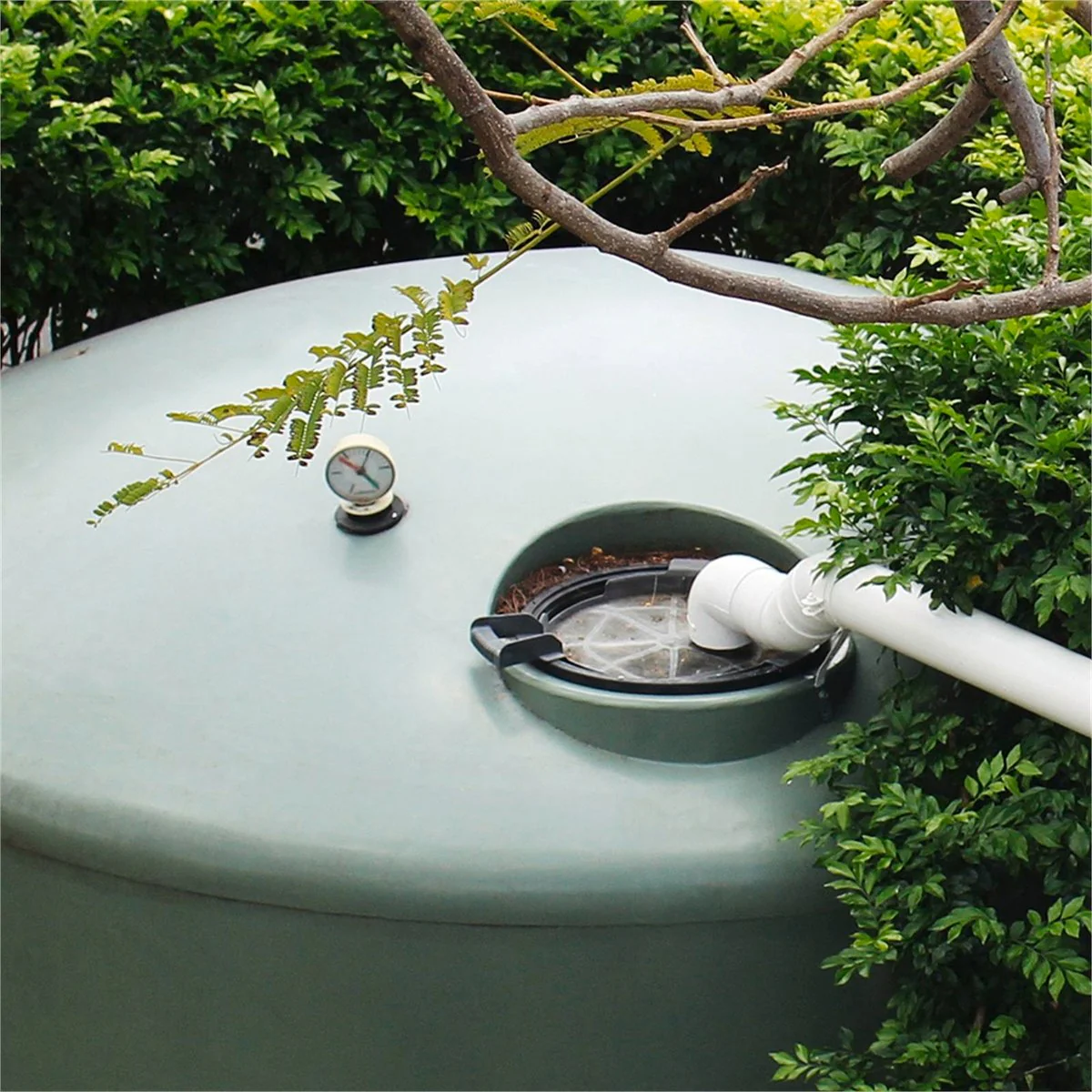 Rain Harvesting Maintenance Tray 300mm - Stainless Steel - Black - Image 5