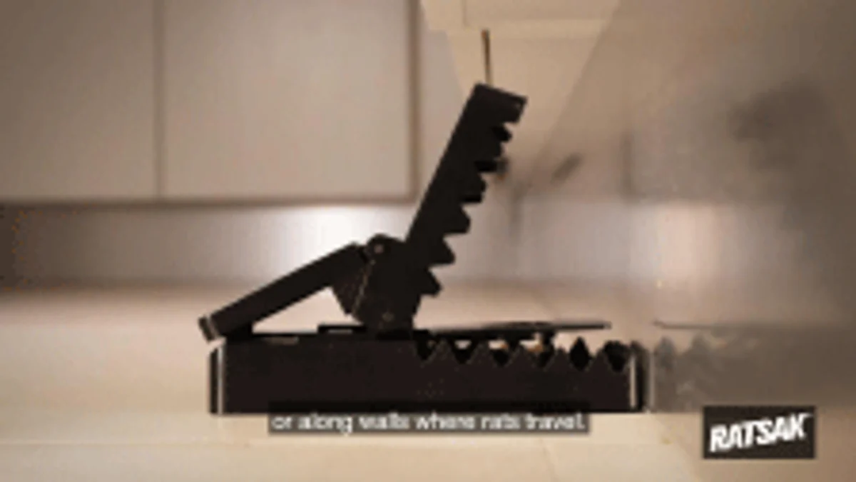 RATSAK Max Strength Rat Trap - Large - Plastic - Poison Free - Image 3