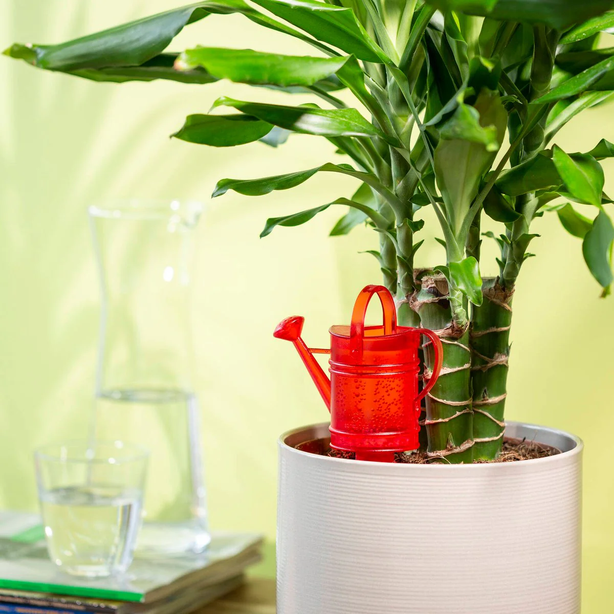 Scheurich Self-Watering Accessory - 12.5 x 6.5cm - Red - 4 Days Hydration - Image 2
