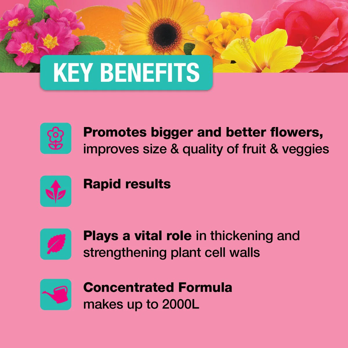Searles Liquid Potash Fertiliser Supplement - 1L - 20% Potassium - Enhances Flower Colour & Fruit Production - Image 3