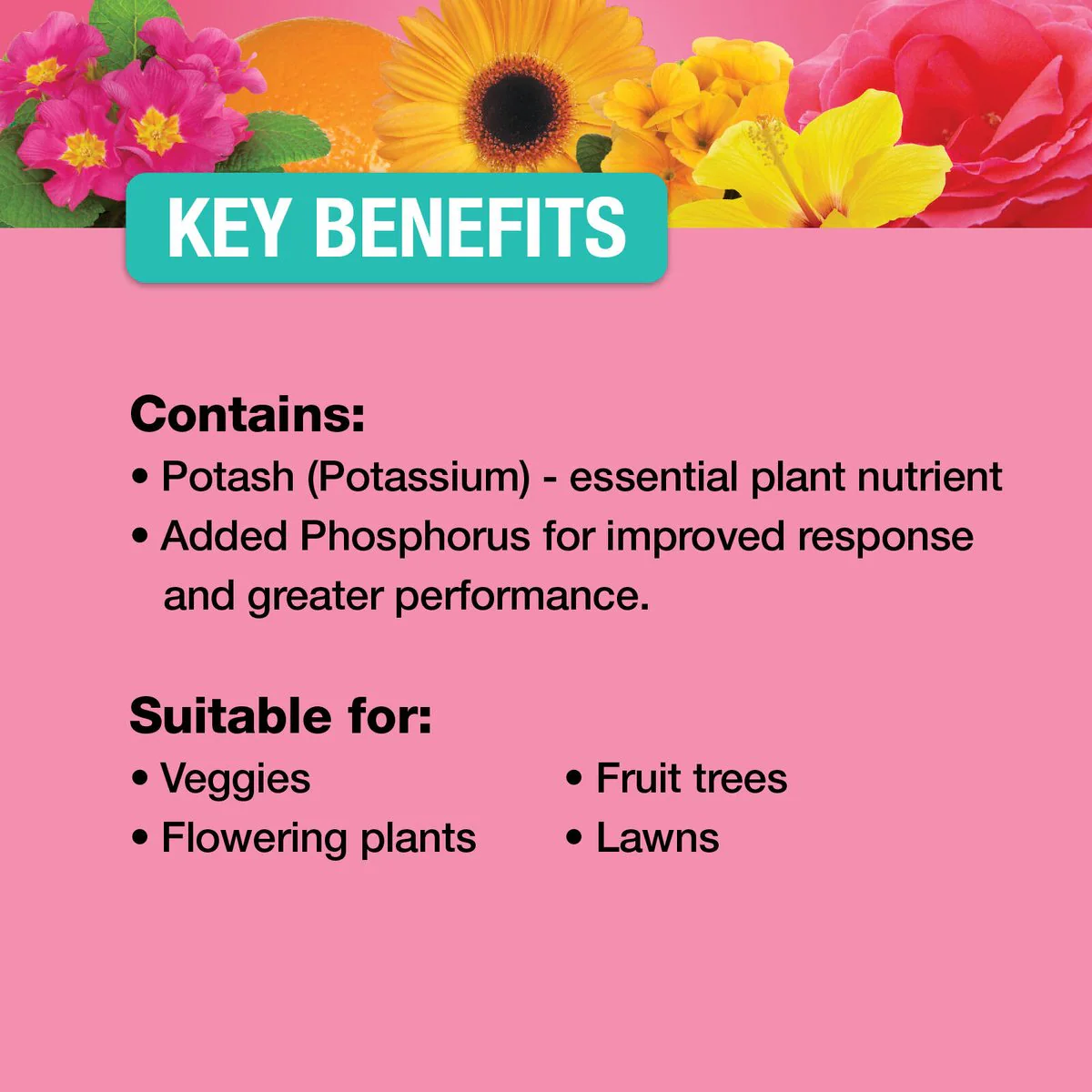 Searles Liquid Potash Fertiliser Supplement - 1L - 20% Potassium - Enhances Flower Colour & Fruit Production - Image 4