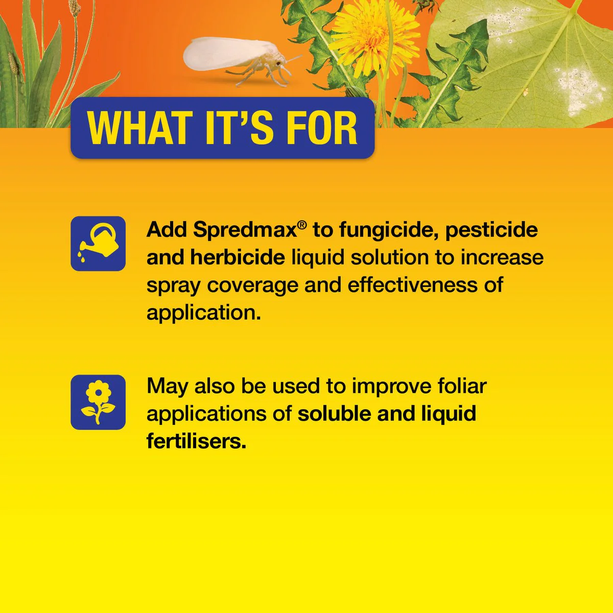 Searles Wetting Agent - 200ml - Liquid Concentrate - Herbicide Additive - Image 4