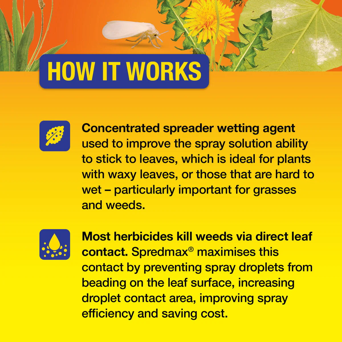 Searles Wetting Agent - 200ml - Liquid Concentrate - Herbicide Additive - Image 5