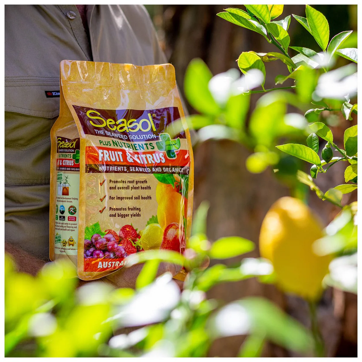 Seasol 2.5kg Plus Nutrients Fruit and Citrus - Granular - Brown - Image 5