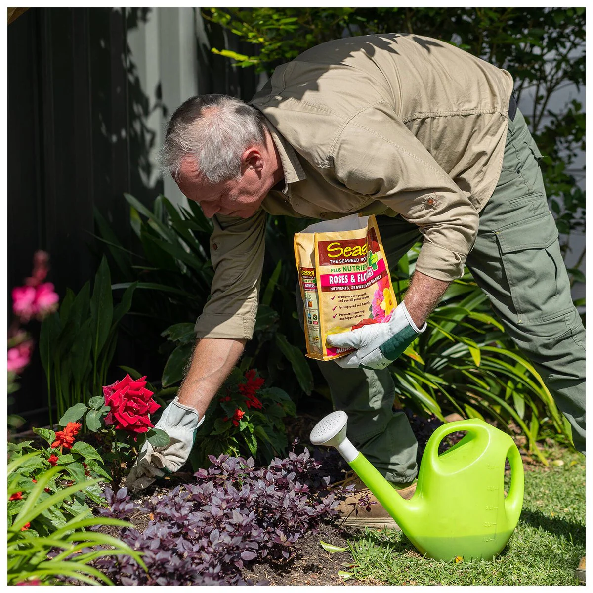 Seasol 2.5kg Plus Nutrients for Roses and Flowers - Granular - Brown - Image 5