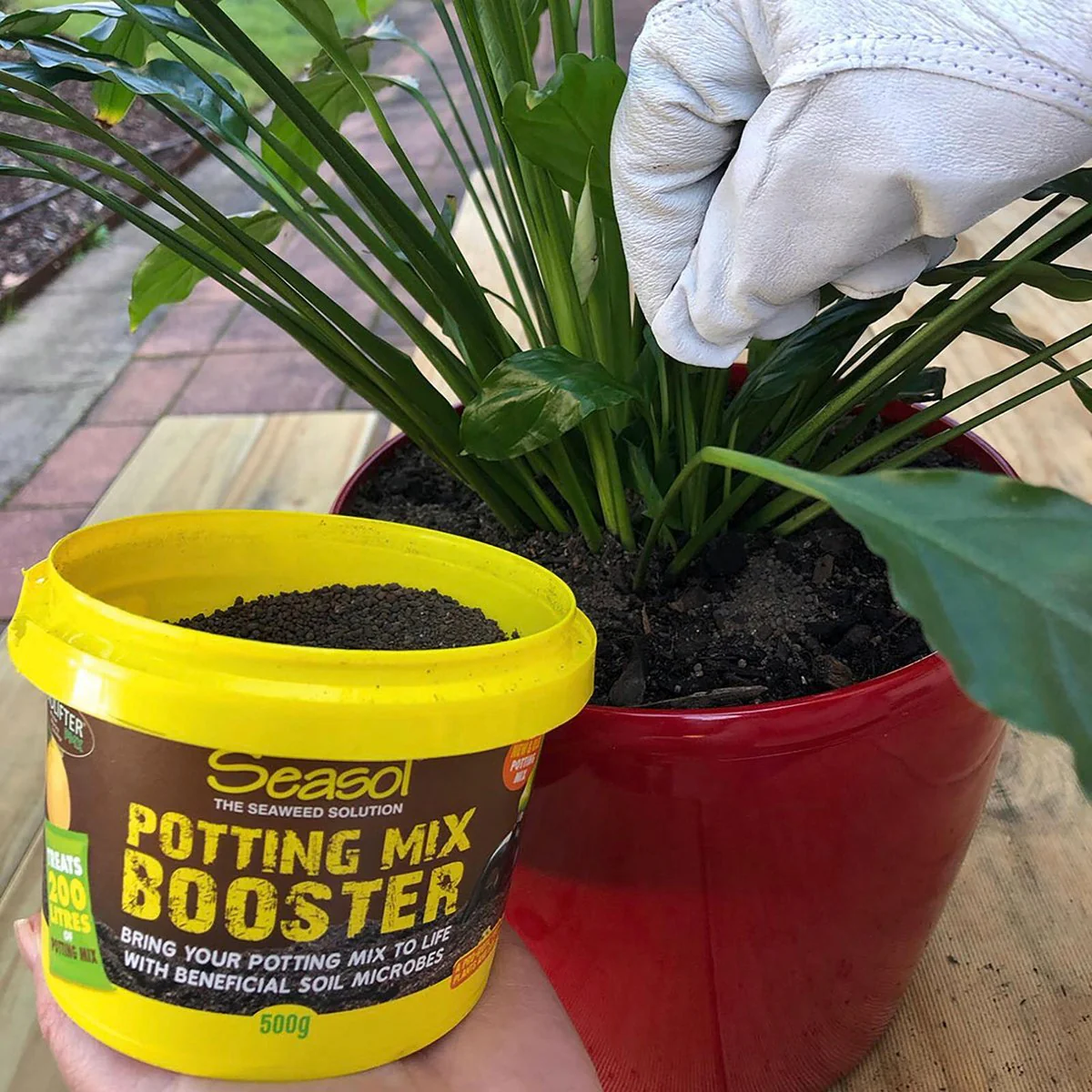 Seasol Potting Mix Booster 500g - Granular - 200L Treatment - Brown - Image 4