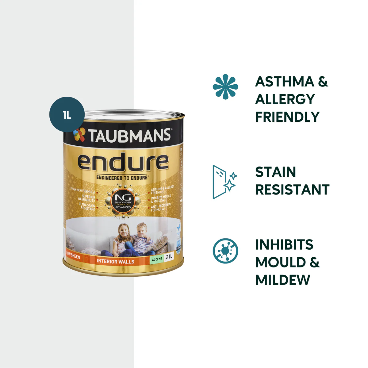 Taubmans 1L Accent Low Sheen Endure Interior Walls Paint - Durable - Low Odour - Image 2