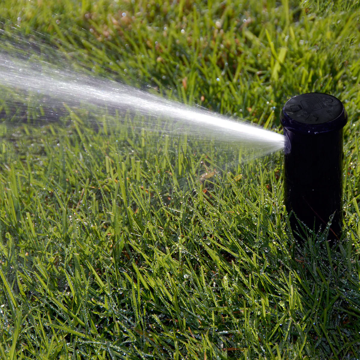 Toro T5 Rotor - 20mm - 5” Pop-Up Height - Efficient Irrigation Solution - Image 2