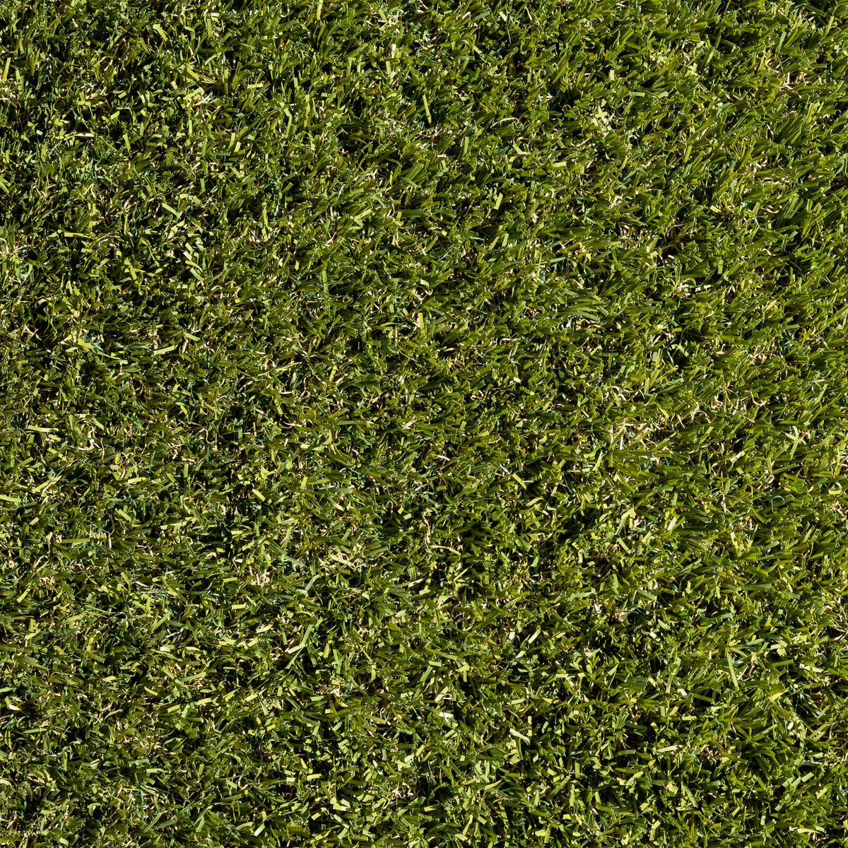 Tuff Turf Synthetic Turf - 1.8m x 5m - PE - Anti-Bacterial - Image 3