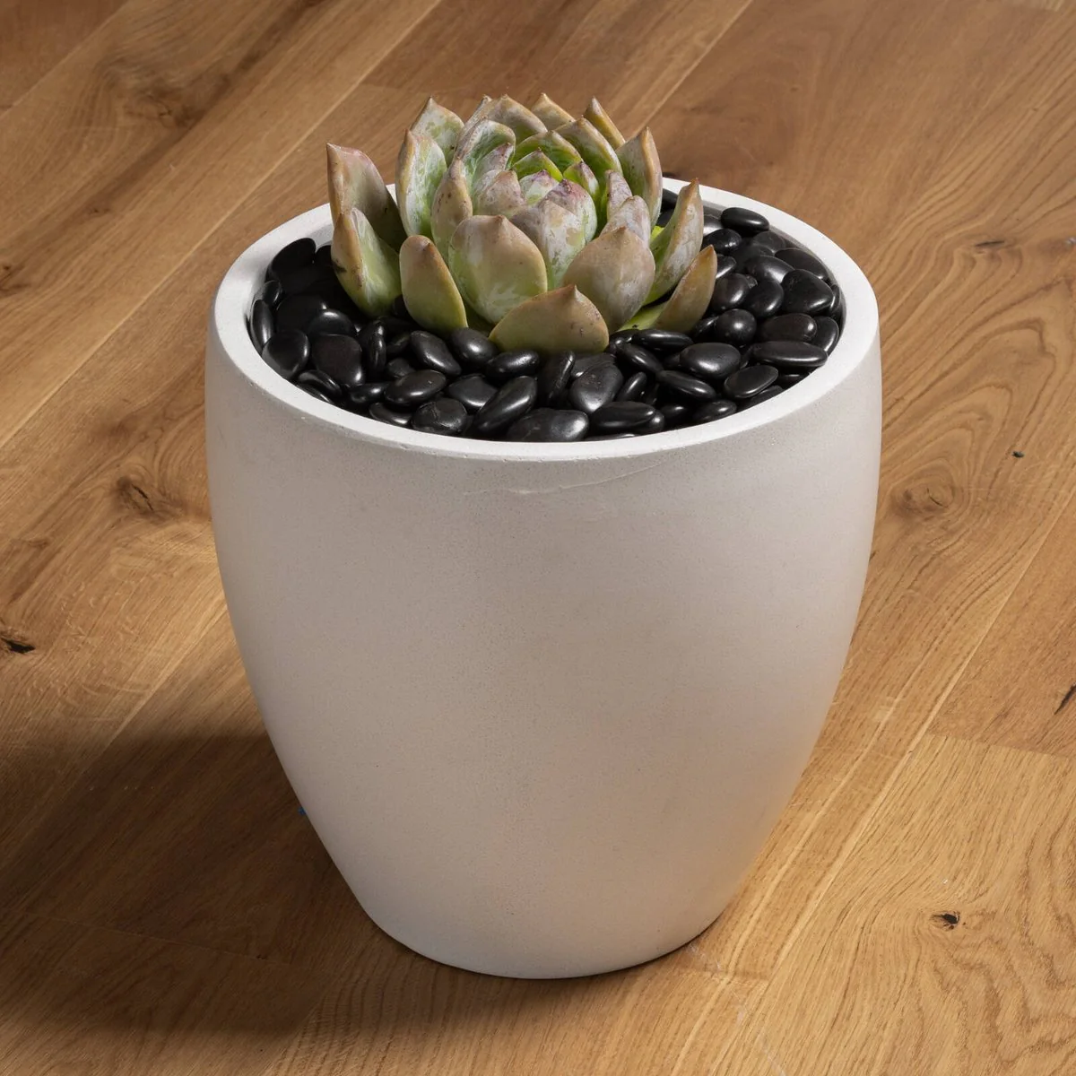 Tuscan Path Decorative Black Pebble 2kg 15-20mm - Weed Control - Indoor/Outdoor - Image 2