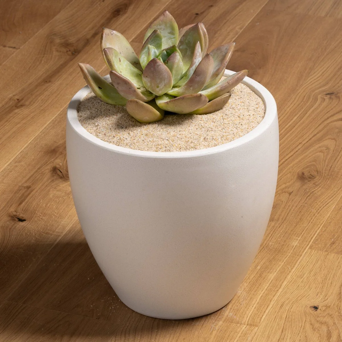 Tuscan Path Decorative Natural Sand Pebble - 2kg - 0.2mm - Natural Sandy Hue - Indoor/Outdoor Use - Image 2