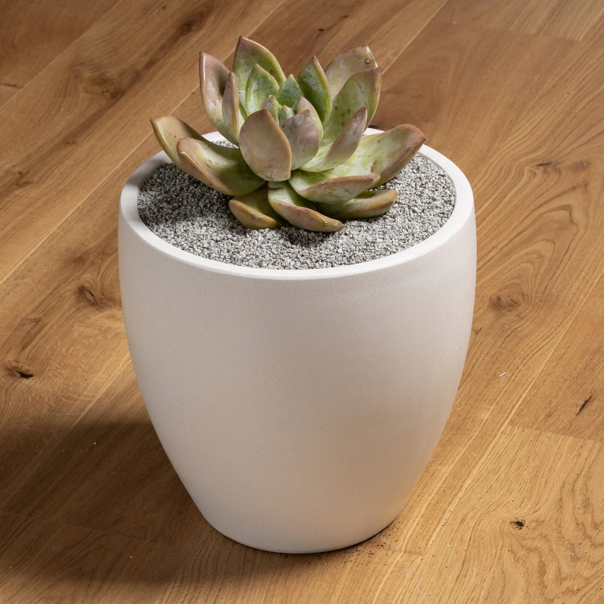 Tuscan Path Mini French Grey Pebble 2kg 4-6mm - Decorative Craft & Landscaping - Image 2