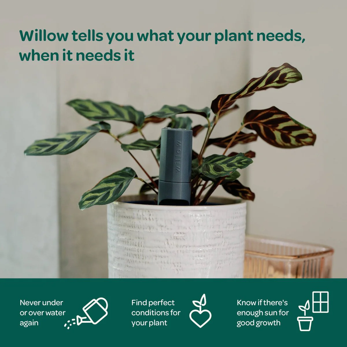 Willow Smart Indoor Plant Sensor - Charcoal - Monitors Soil Moisture, Light, Temperature, Humidity - Bluetooth Connectivity - Image 4