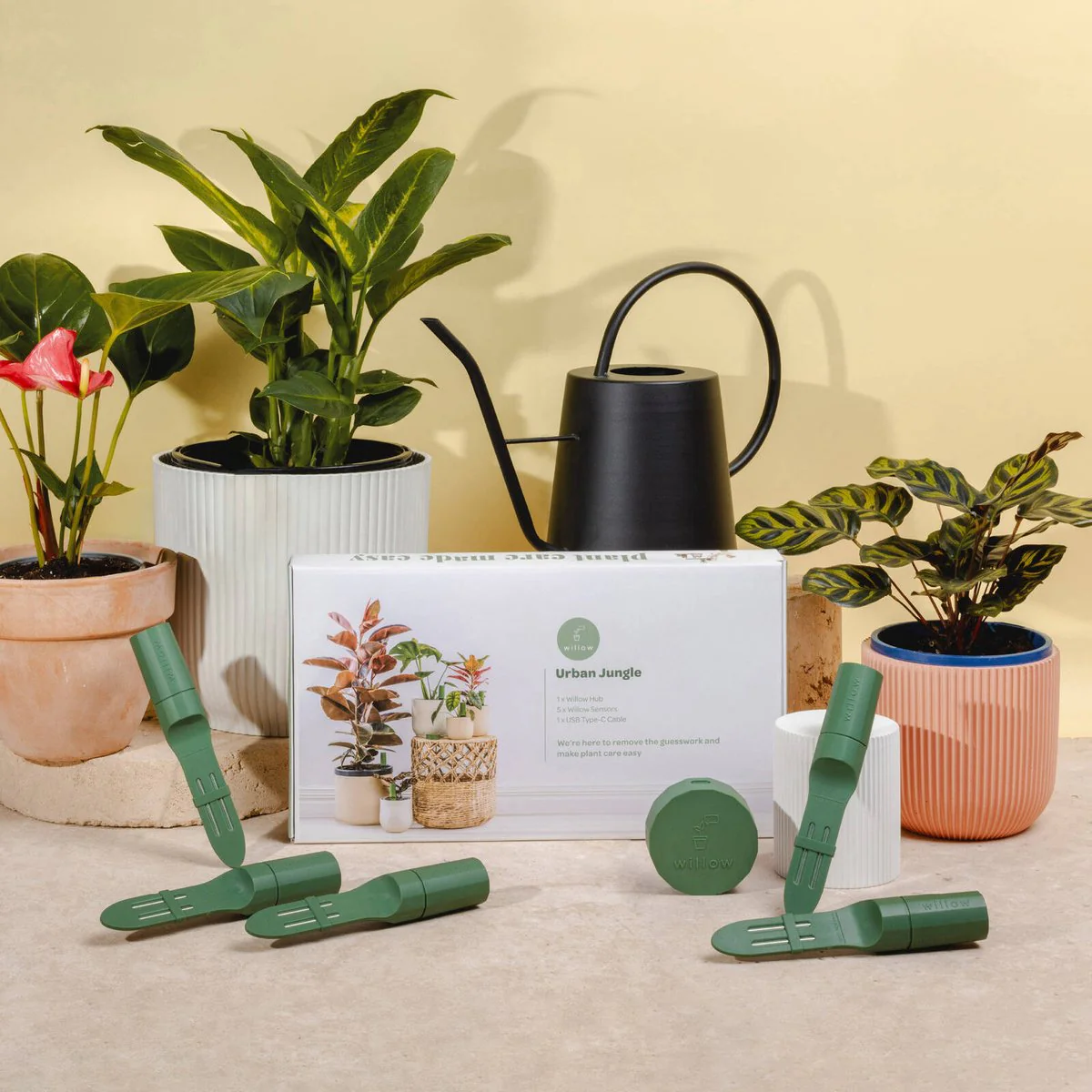 Willow Smart Indoor Plant Sensor Urban Jungle Pack - 5 Sensors & Hub - 355mm x 40mm x 197mm - Monitors Soil Moisture, Light, Temperature, Humidity - Image 4