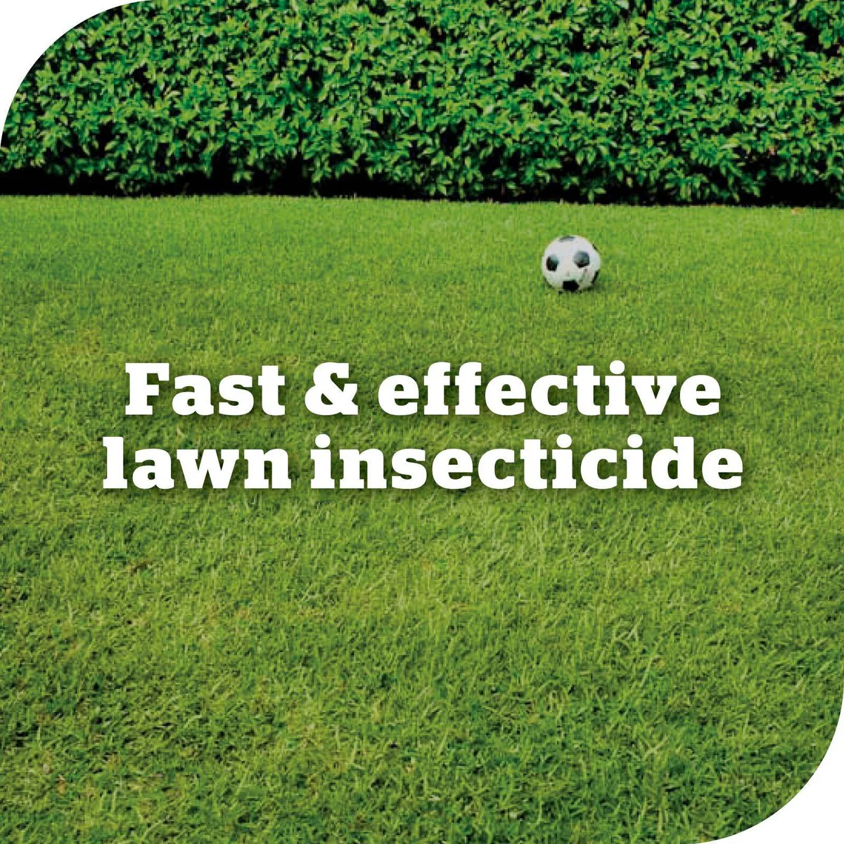 Yates Advanced Lawn Insect Killer 200ml - Controls Grubs, Ants, Grasshoppers - Image 3