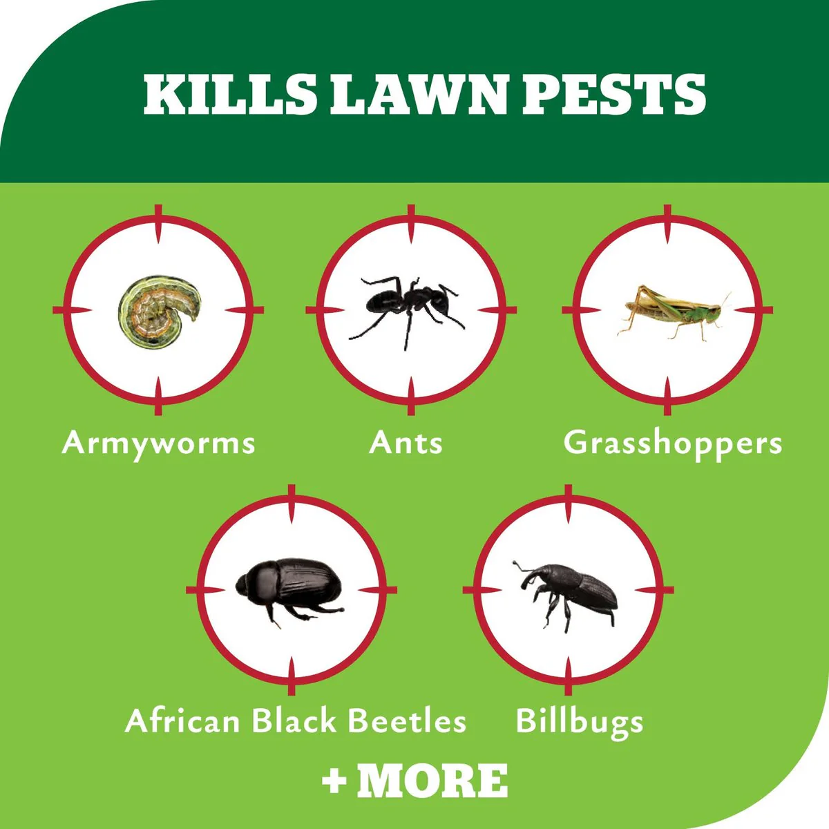 Yates Advanced Lawn Insect Killer 200ml - Controls Grubs, Ants, Grasshoppers - Image 4