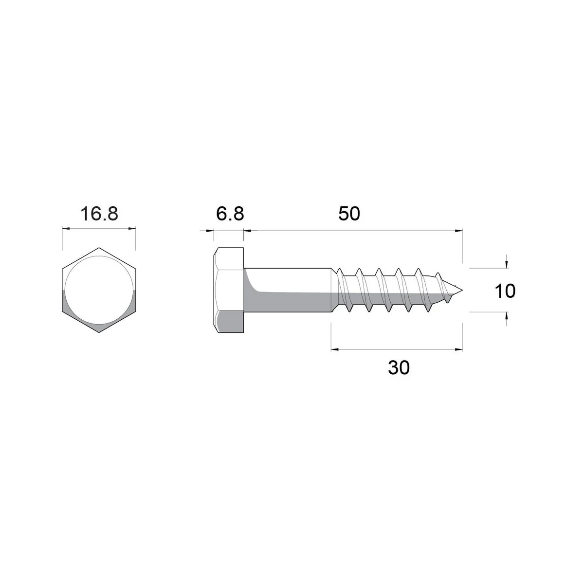 Zenith Coach Screw - M10 x 50mm - Stainless Steel 304 - Heavy Duty - Image 2